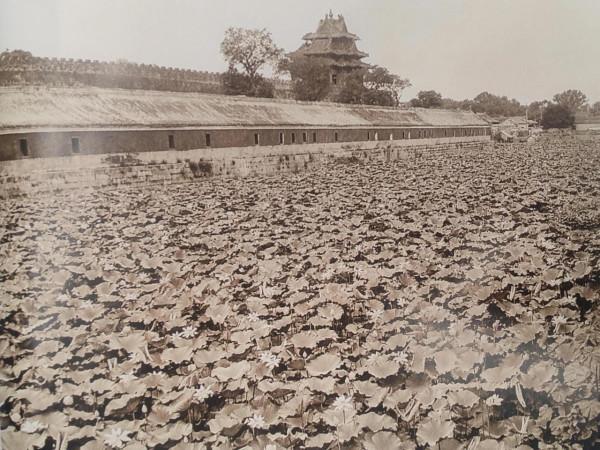 北京的老照片；八國聯軍時期的北京城景