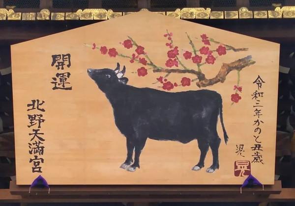 關於牛,全都是好看的 關於牛,全都是好看的