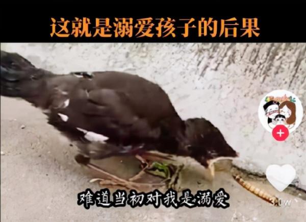 年後最有出息的,是這4種孩子 年後最有出息的,是這4種孩子