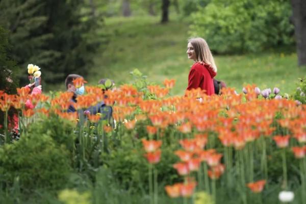 畫境烏克蘭，歷史亦悠遠。曾物阜民豐，惜故國不堪