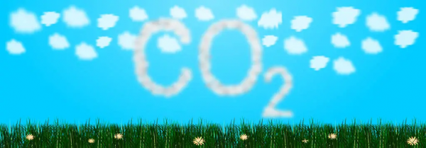 中國2060年實現碳中和,那為什麼說二氧化碳是溫室氣體呢? 中國2060年實現碳中和,那為什麼說二氧化碳是溫室氣體呢?