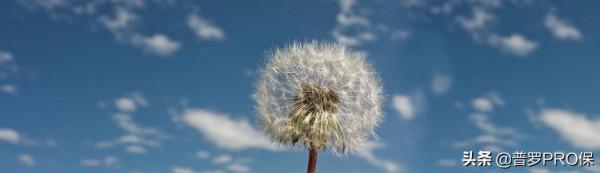 給保險人的公開信——直面變局、勇於改變，迎接保險新盛世