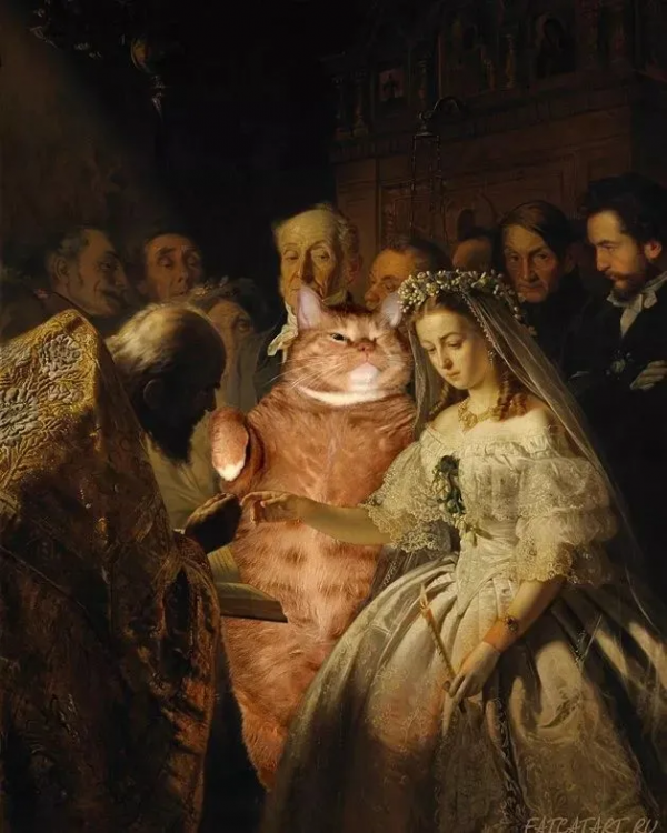 懷抱橘貓的蒙娜麗莎,微笑都變甜了 懷抱橘貓的蒙娜麗莎,微笑都變甜了