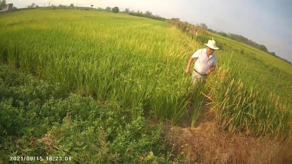 摩托周邊旮旯遊——尋朱元璋出家之於皇寺 摩托周邊旮旯遊——尋朱元璋出家之於皇寺
