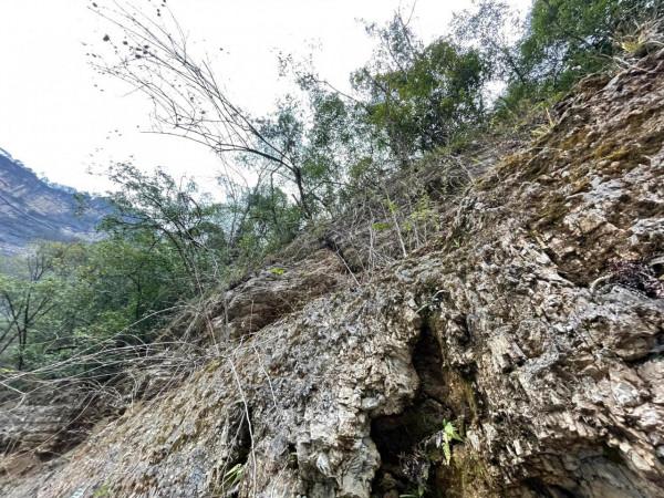 四川省巴中市南江縣光霧山，一年四季景色都不錯，值得去的地方