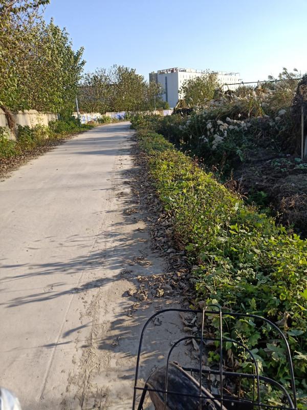 「雙11」開著電驢去釣魚,結果身心疲憊,聽我細細道來…… 「雙11」開著電驢去釣魚,結果身心疲憊,聽我細細道來……