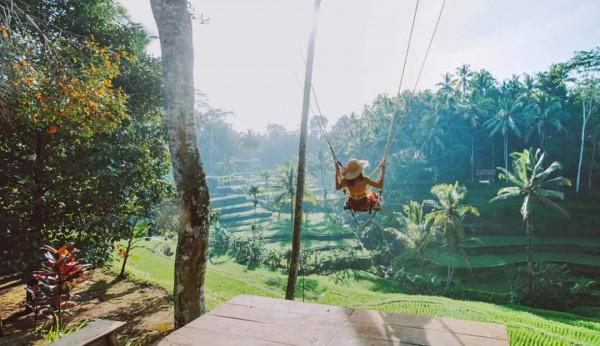 向旅行者開放的國家和地區（2022年1月）