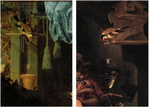 關於海鷗蠢不蠢的問題，研究有了新的證據……