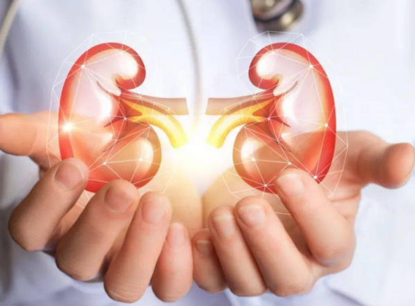 腎病怎麼避免成為尿毒症？做好2個指標檢測，早發現早治療很重要