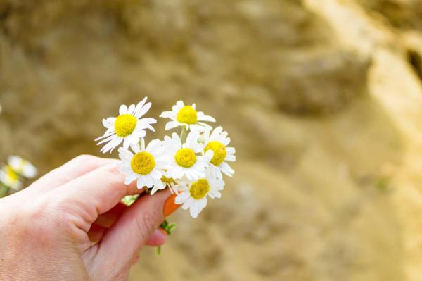 “性格決定命運”——到底是真理還是謬論? “性格決定命運”——到底是真理還是謬論?