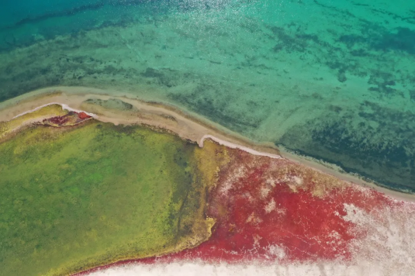 青海的這個地方要火了,秋天一定要去一次,中國最後的一片淨土 青海的這個地方要火了,秋天一定要去一次,中國最後的一片淨土