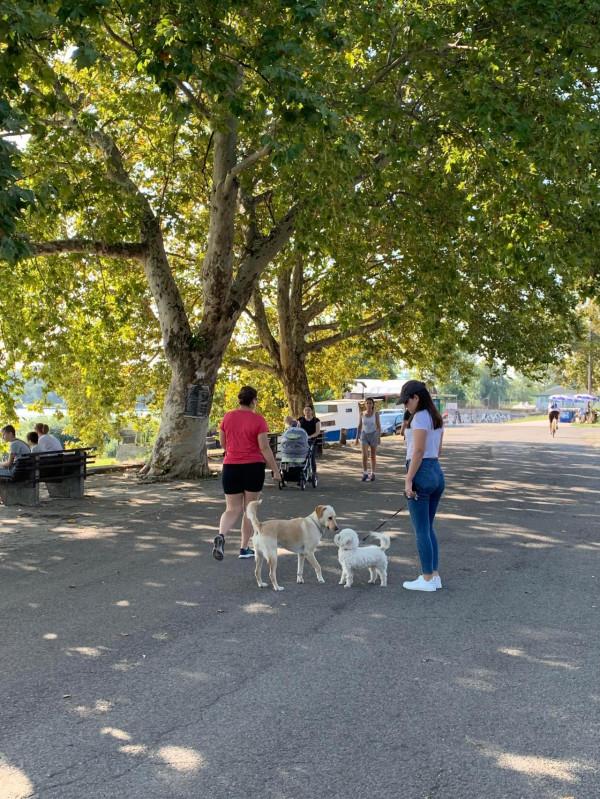 2019暑假塞爾維亞、波黑之旅（2）