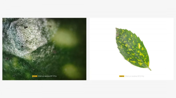 真我GT2 Pro影像測評：年輕人也可以玩得起的顯微鏡和魚眼鏡頭拍攝