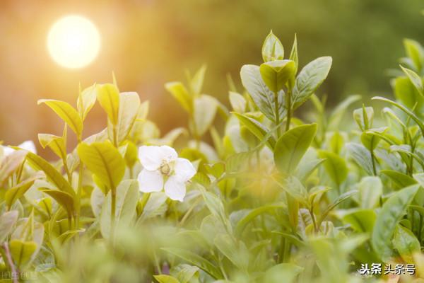 孩子喜歡玩手機,父母不妨這樣做試試 孩子喜歡玩手機,父母不妨這樣做試試