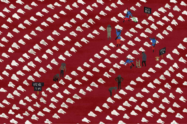 如何追上一束光？| 童書新品