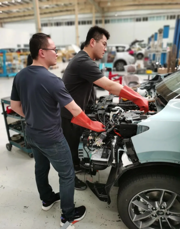 海馬人的朋友圈美爆了！戳進來，看看雪後海馬有多美