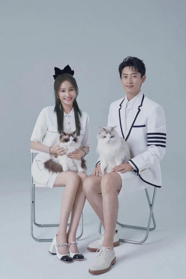 魏晨夫婦的神仙結婚照,太美啦 魏晨夫婦的神仙結婚照,太美啦