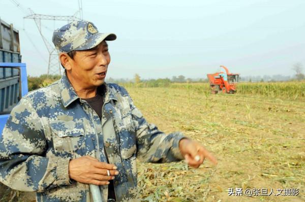 臨汾58歲老漢秸稈回收成了羊司令 一年資產變成三十萬 驚動電視臺