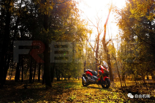 等不到上市以後了！搶先試駕龍嘉 XDV 250丨把玩