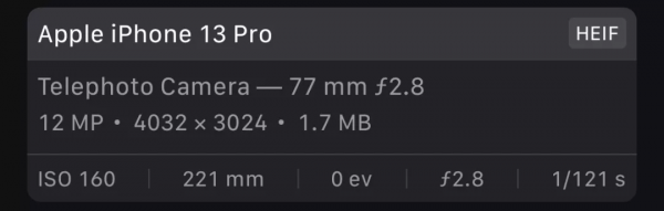 iPhone奇葩新Bug：拍人像時人頭直接消失