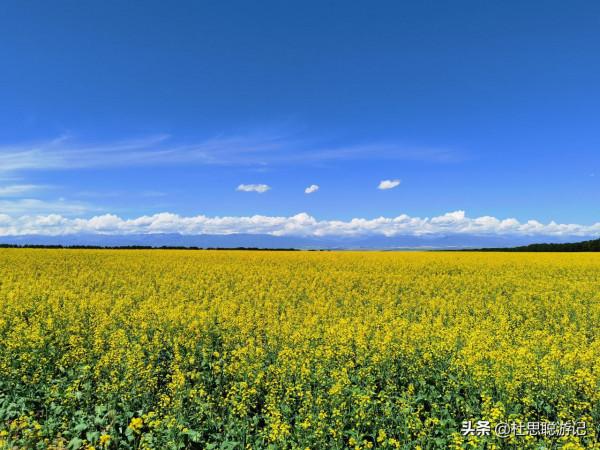 漢EV自駕新疆，昭蘇玉湖景區是很少遊客到來的地方，真的美