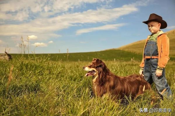 十部治癒系高分電影