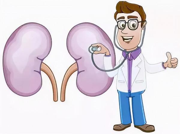 一喝水就尿多,代表腎臟好還是不好?看完這4點,你或許就明白了 一喝水就尿多,代表腎臟好還是不好?看完這4點,你或許就明白了