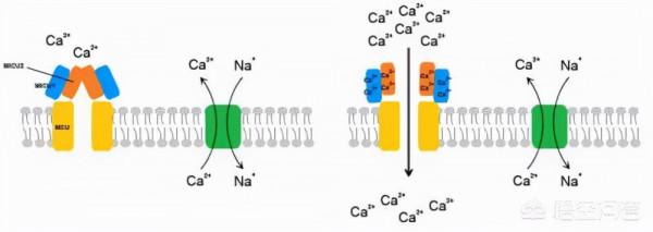 吃了降壓藥，血壓還是很高，這是怎麼回事？
