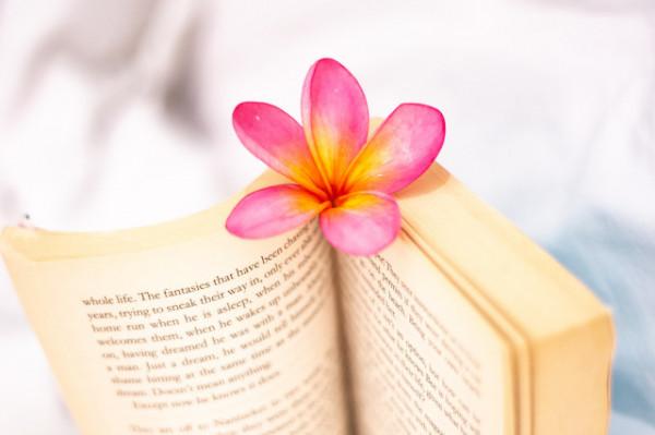 雖然很傷感,但這才是現實⋯⋯ 雖然很傷感,但這才是現實⋯⋯