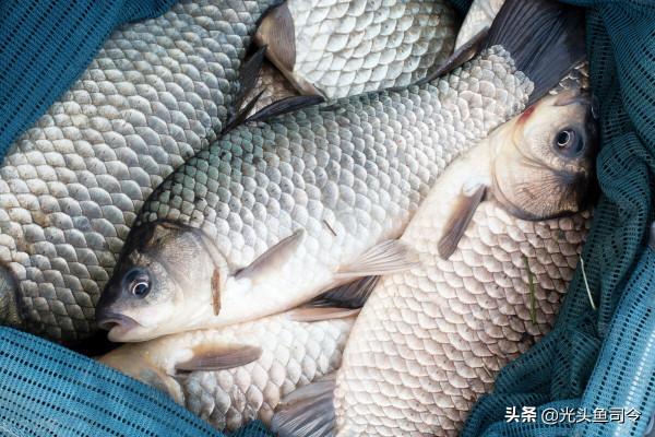 混跡釣魚圈多年,這9個術語,你知道幾個? 混跡釣魚圈多年,這9個術語,你知道幾個?