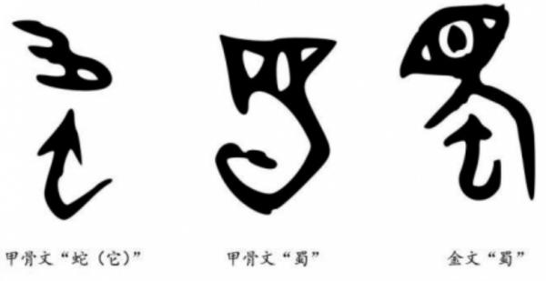 四川簡稱蜀,可有沒有想過,為什麼要叫蜀?到底和蠶有何關聯? 四川簡稱蜀,可有沒有想過,為什麼要叫蜀?到底和蠶有何關聯?