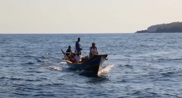 西太平洋的拉馬發獵人：專門捕殺20噸的鯊魚，一條夠全村吃5個月