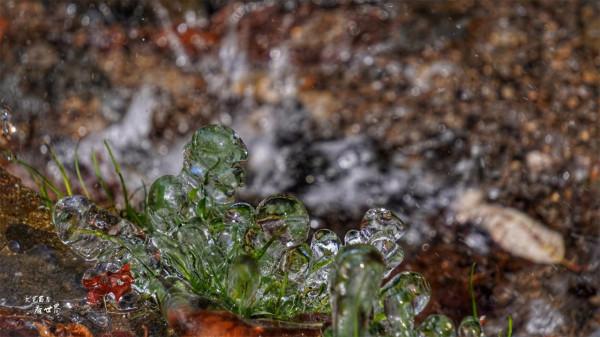 論奇石,我就服長白山望天鵝,它是1億年前火山噴發創造的奇觀 論奇石,我就服長白山望天鵝,它是1億年前火山噴發創造的奇觀
