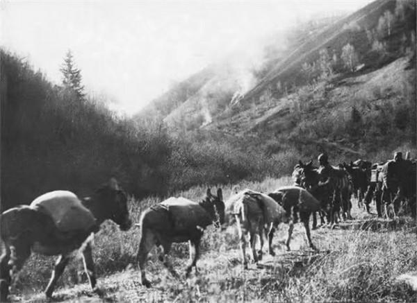 藏族鉅商邦達昌，牽2000頭騾馬支援抗日1.5億美元，盜匪都被感動