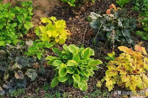 他賣掉城裡的房子，包了個山頭，打造集裝箱陽光房、小木屋、花園