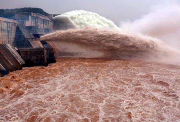 小浪底水庫蓄水23年，裡面最大的魚有多大？調水調沙是好還是壞？
