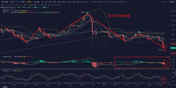 區塊鏈學姐：9月20日 主流幣強烈回撥下，觸底反彈攻勢能否出現？