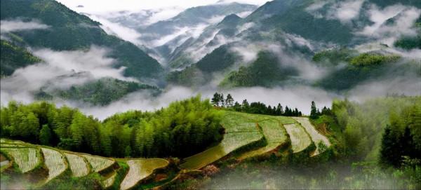 浙江寶藏養老小城,森林覆蓋率高達76.1%,是國家點名的生態縣 浙江寶藏養老小城,森林覆蓋率高達76.1%,是國家點名的生態縣