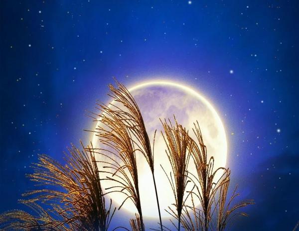 明月晴天早.秋風落月遲