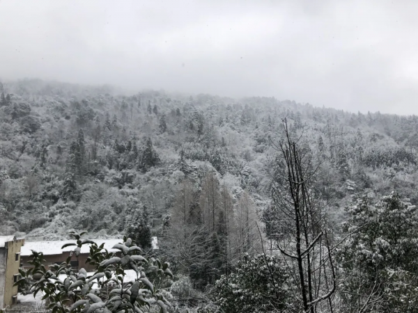 春節想要感受濃濃的年味 2022年春節小眾目的地