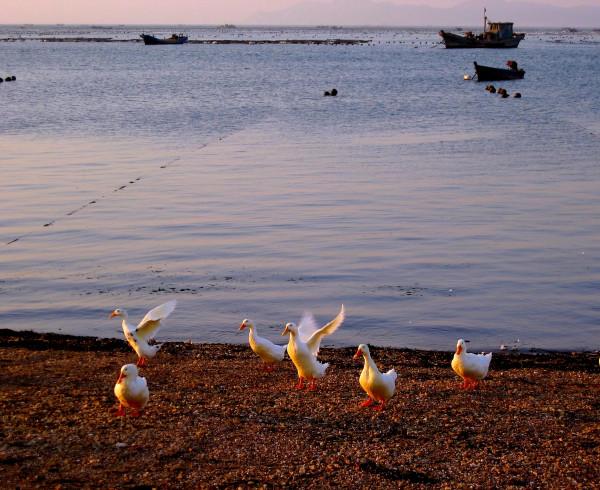 我國唯一的海島邊境縣:常住人口6.6萬,擁有全國第一座縣級機場 我國唯一的海島邊境縣:常住人口6.6萬,擁有全國第一座縣級機場