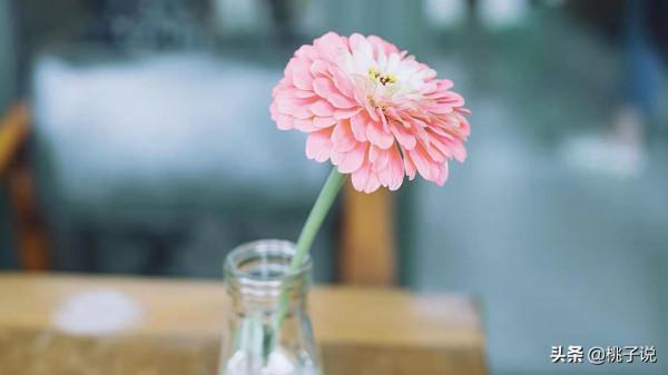 不論是否有錢，都不要把錢花在“這些方面”，因為不值得