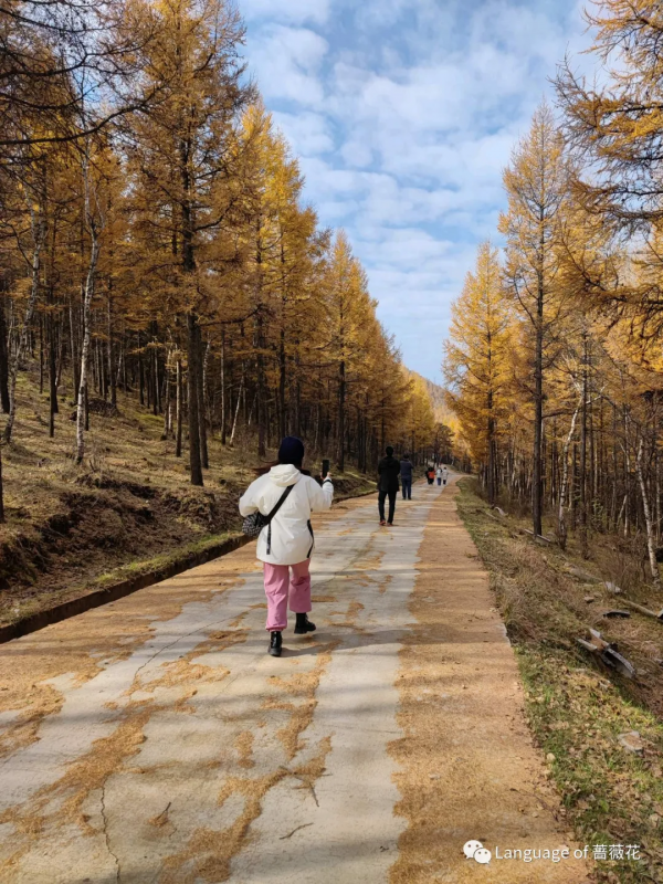 強衛華：霜降看秋