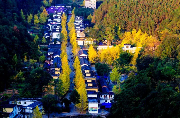 適合冬天的12條小眾自駕路線，人少景美，年末，選一條就出發吧