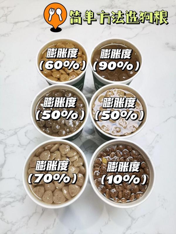 資深鏟屎官都靠泡水選狗糧