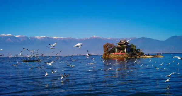 國內最美的12個旅行地,去過10個就是旅行達人,你去過幾個? 國內最美的12個旅行地,去過10個就是旅行達人,你去過幾個?