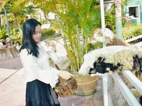 泰國華欣|泰國人心中的“皇家度假勝地” 泰國華欣|泰國人心中的“皇家度假勝地”