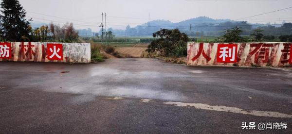 飛天山徒步，竟誤入桃源深處
