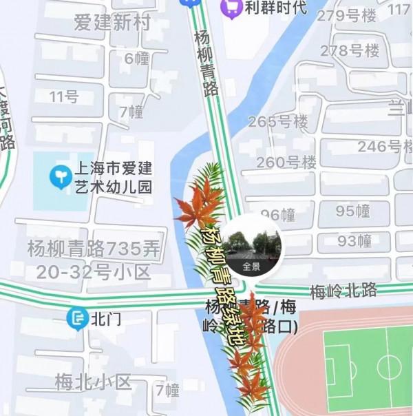 新一波地圖來了~除了北美紅楓和銀杏，普陀還有什麼好看？