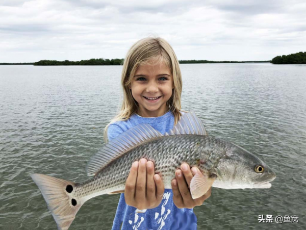 美國紅魚,到底是個什麼東東? 美國紅魚,到底是個什麼東東?